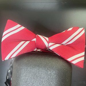 Men's Bowtie Striped (Adjustable/OS) Business/Professional
